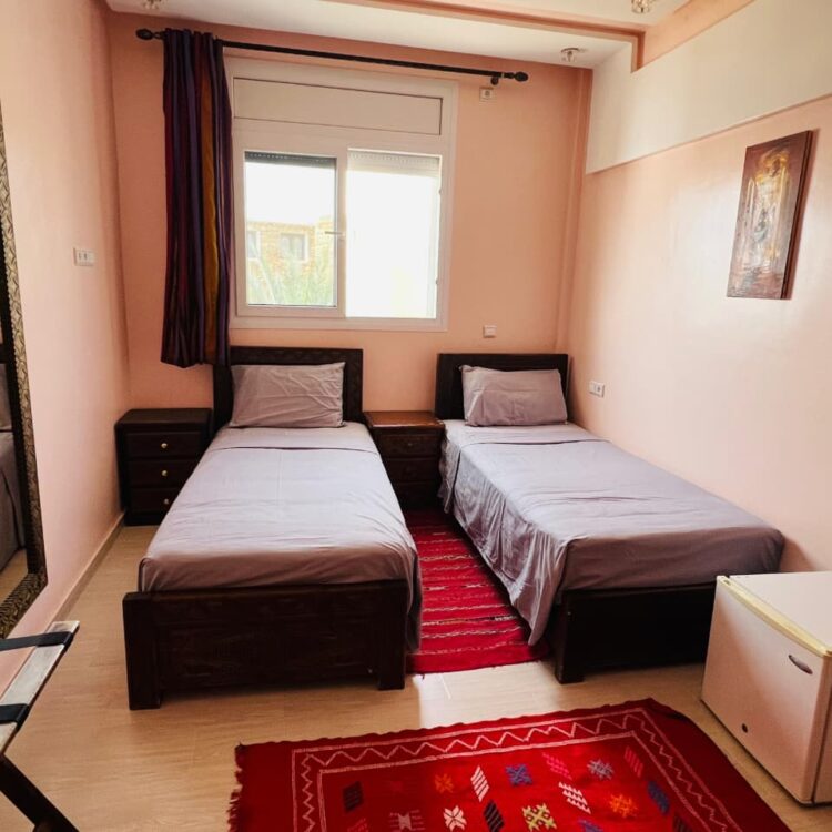 WhatsApp Image 2026-02-21 at 3.00.37 AM (3)