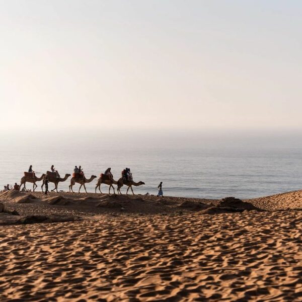 Camel riding on the beach near Taghazout